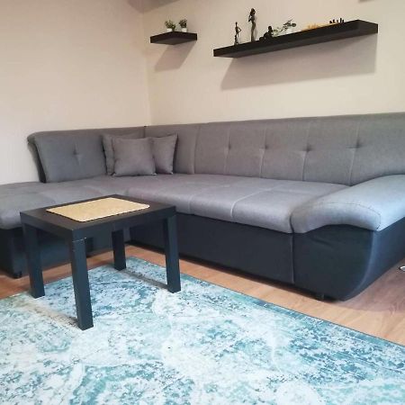 Viki Apartment Centar Ниш Экстерьер фото